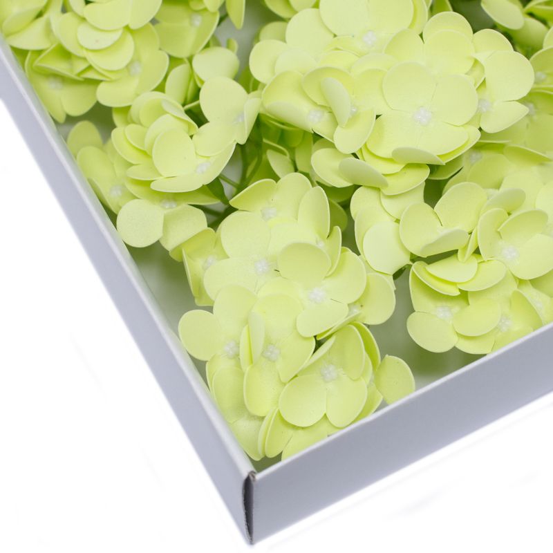 Tvålblommor till Hantverk - Hortensia - Vårgrön