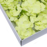 Tvålblommor till Hantverk - Hortensia - Vårgrön