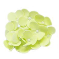Tvålblommor till Hantverk - Hortensia - Vårgrön
