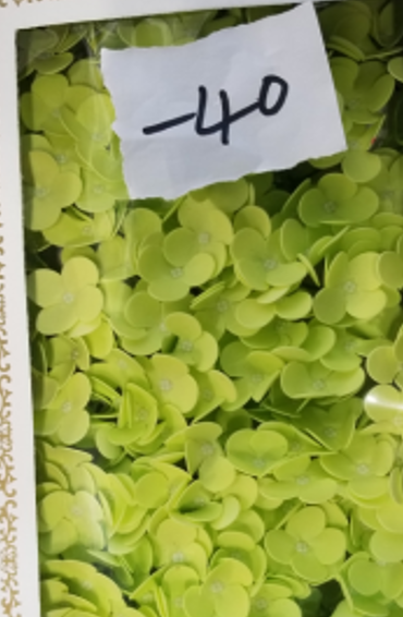 Tvålblommor till Hantverk - Hortensia - Vårgrön