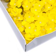Tvålblommor till Hantverk - Hortensia - Gul
