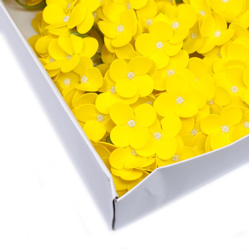Tvålblommor till Hantverk - Hortensia - Gul