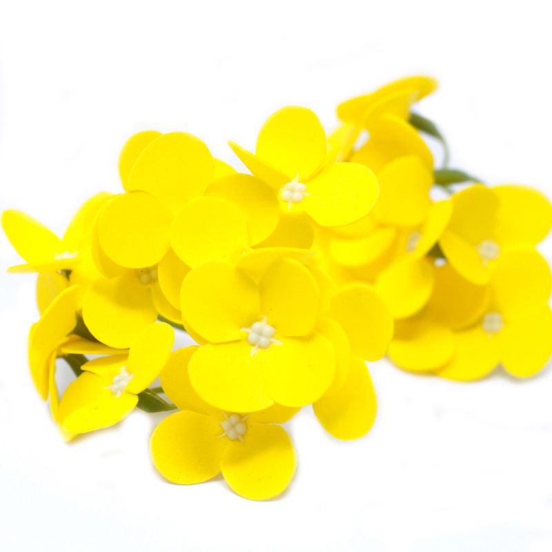 Tvålblommor till Hantverk - Hortensia - Gul