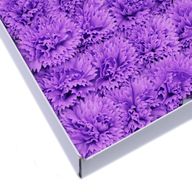 Tvålblommor till Hantverk - Nejlika - Violett