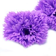 Tvålblommor till Hantverk - Nejlika - Violett