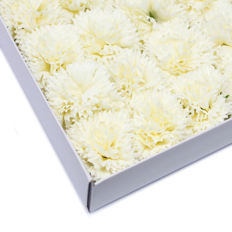 Tvålblommor till Hantverk - Nejlika - Krämfärg