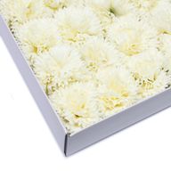 Tvålblommor till Hantverk - Nejlika - Krämfärg