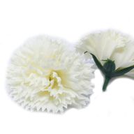 Tvålblommor till Hantverk - Nejlika - Krämfärg