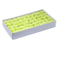 Tvålblommor till Hantverk - Nejlika - Lime