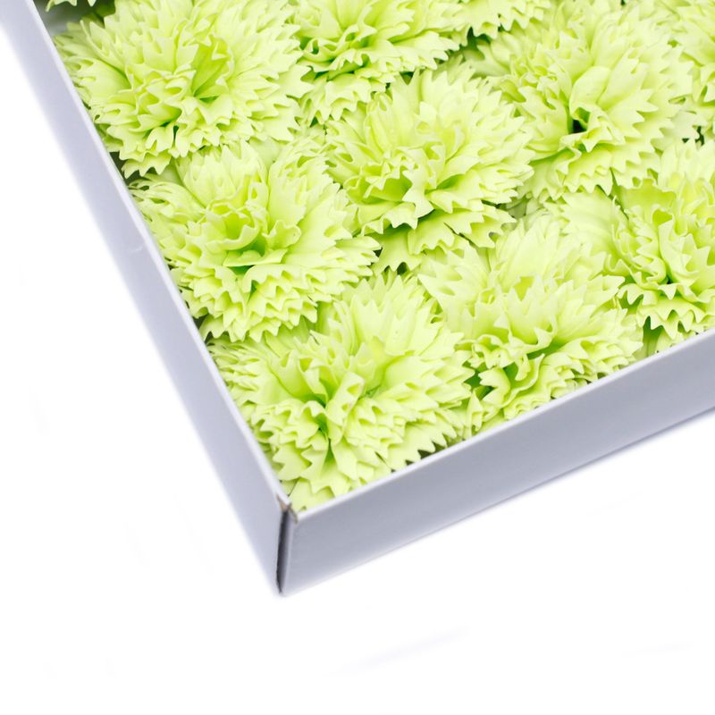 Tvålblommor till Hantverk - Nejlika - Lime