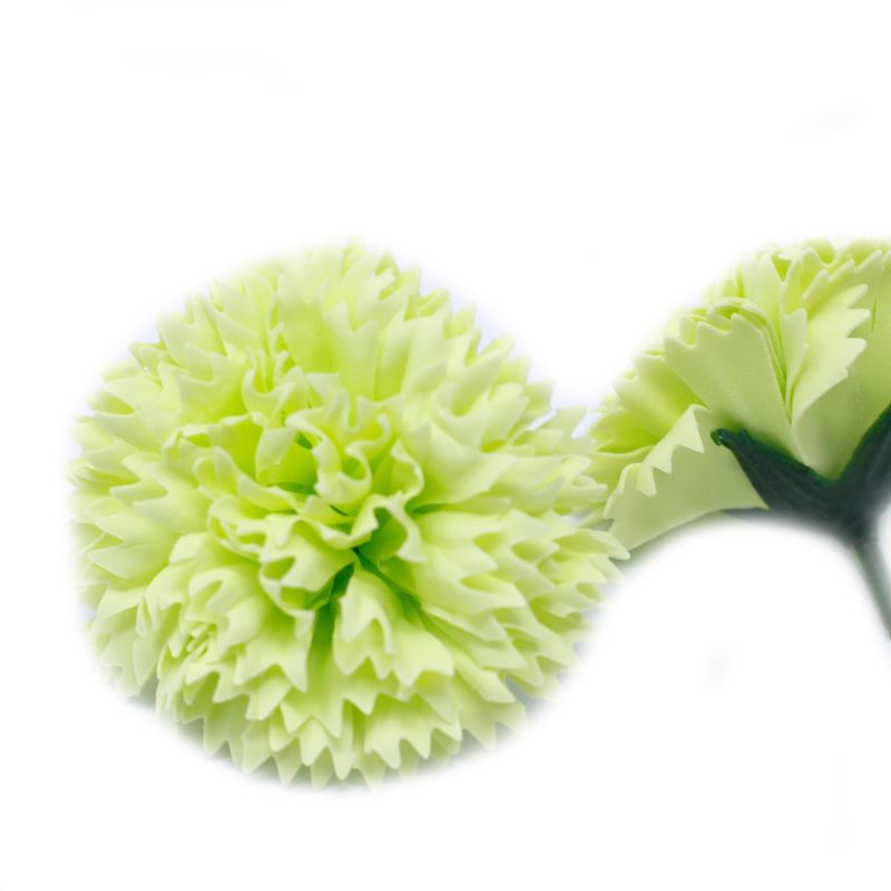 Tvålblommor till Hantverk - Nejlika - Lime