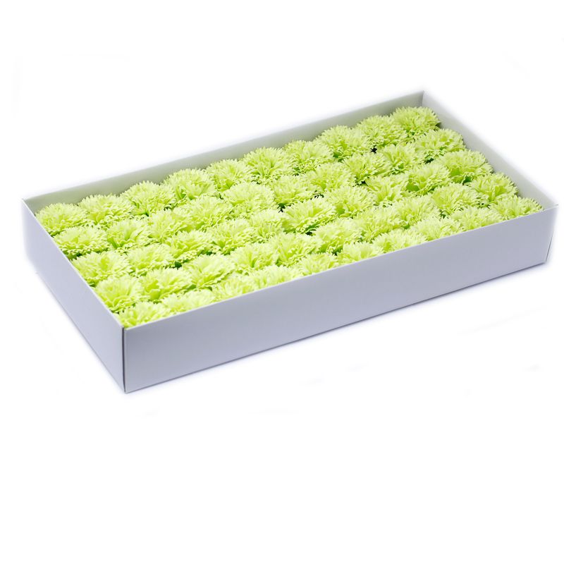 Tvålblommor till Hantverk - Nejlika - Lime