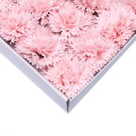Tvålblommor till Hantverk - Nejlika - Ljusrosa