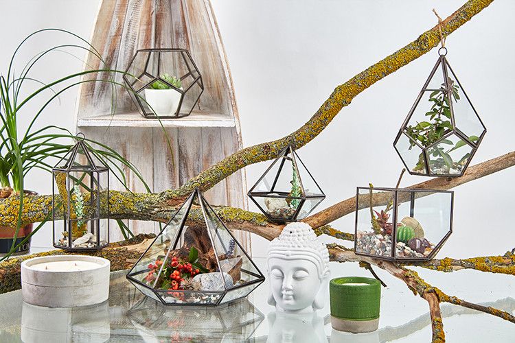 Terrarium i Glas - Stor Pyramid