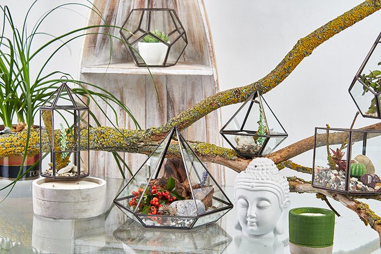 Terrarium i Glas - Liten Pyramid