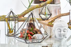 Terrarium i Glas - Lykt-formad