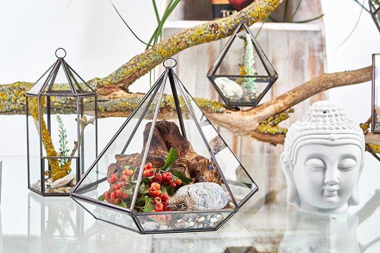 Terrarium i Glas - Lykt-formad