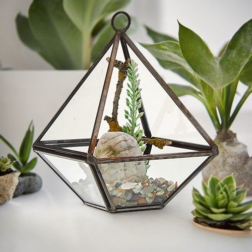 Terrarium i Glas - Liten Pyramid