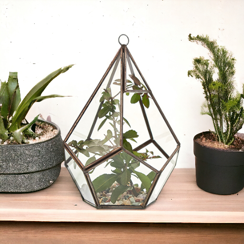 Terrarium i Glas - Stor Pyramid