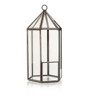 Terrarium i Glas - Lykt-formad
