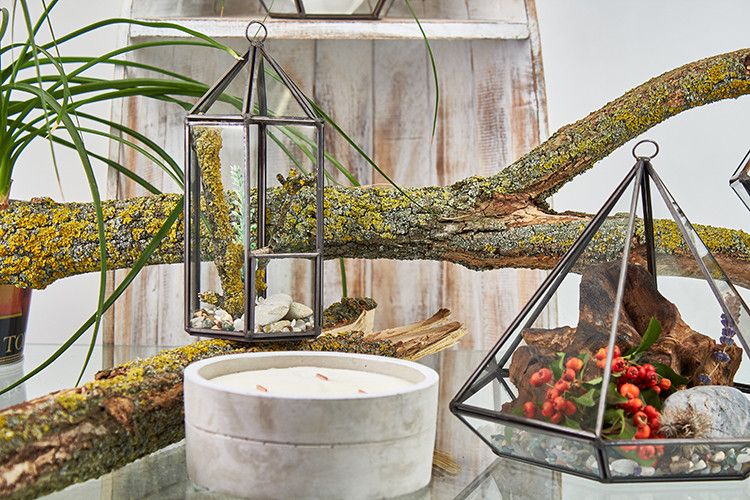 Terrarium i Glas - Lykt-formad