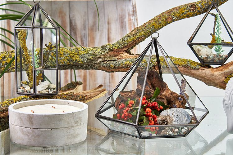 Terrarium i Glas - Stor Diamant