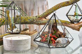 Terrarium i Glas - Stor Diamant