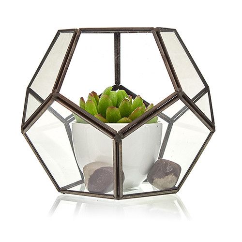 Terrarium i Glas - Stor Pentagon