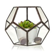 Terrarium i Glas - Stor Pentagon