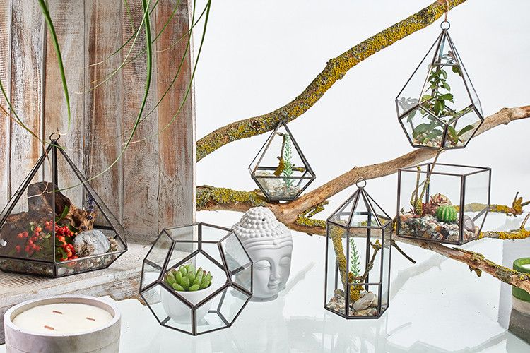 Terrarium i Glas - Stor Pentagon