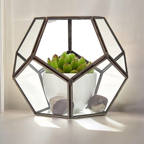 Terrarium i Glas - Stor Pentagon