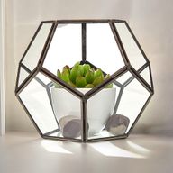 Terrarium i Glas - Stor Pentagon