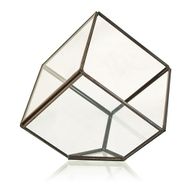 Terrarium i Glas - Kub på Hörn
