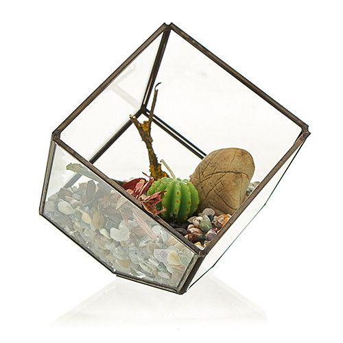 Terrarium i Glas - Kub på Hörn