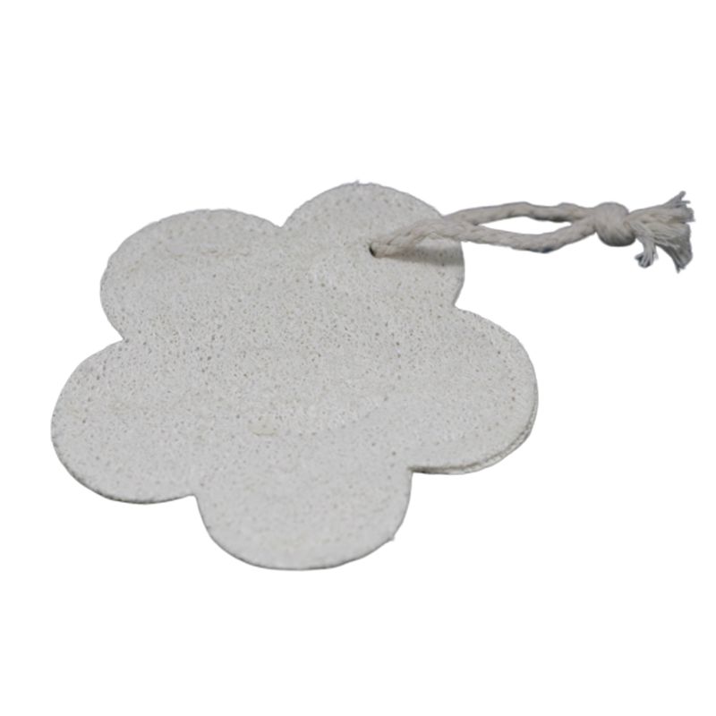 Naturliga Exfolierande Svampar av Luffa - Blomma