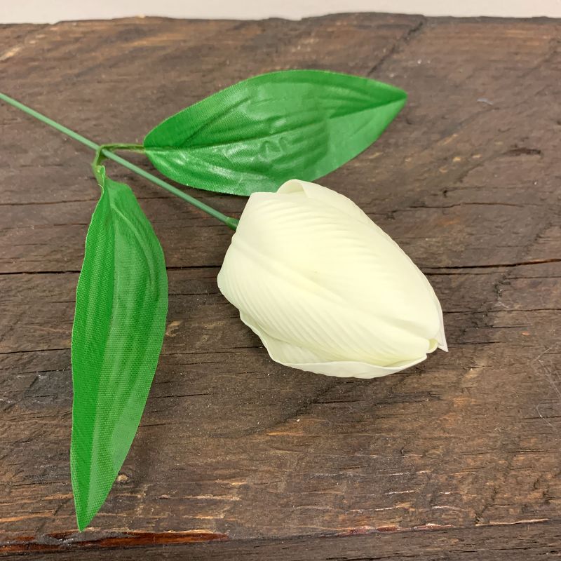 Tvålblommor till Hantverk - Mellanstor Tulpan - Elfenben