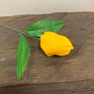 Tvålblommor till Hantverk - Mellanstor Tulpan - Gul