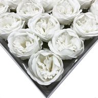 Tvålblommor till Hantverk - Extra Stor Pion - Vit