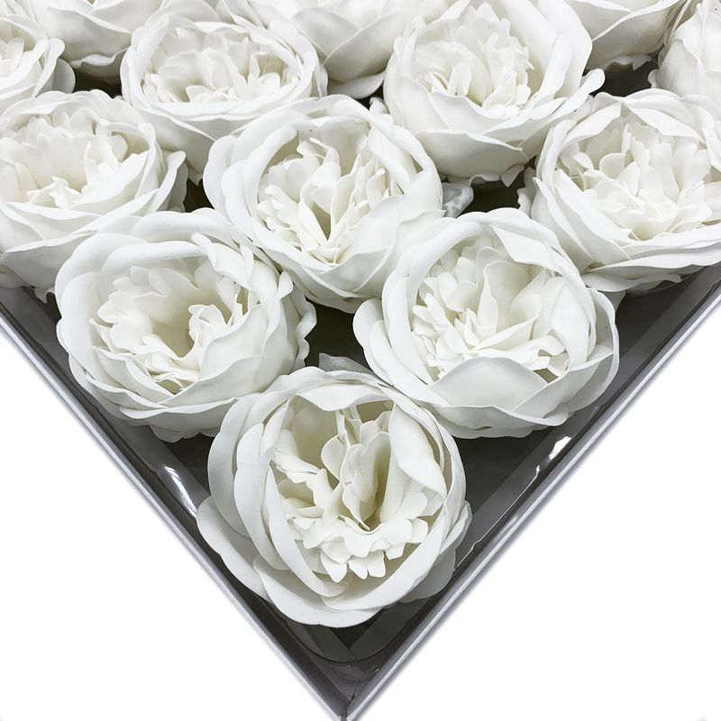 Tvålblommor till Hantverk - Extra Stor Pion - Vit
