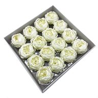 Tvålblommor till Hantverk - Extra Stor Pion - Elfenben