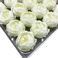 Tvålblommor till Hantverk - Extra Stor Pion - Elfenben