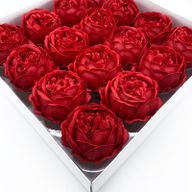 Tvålblommor till Hantverk - Extra Stor Pion - Röd