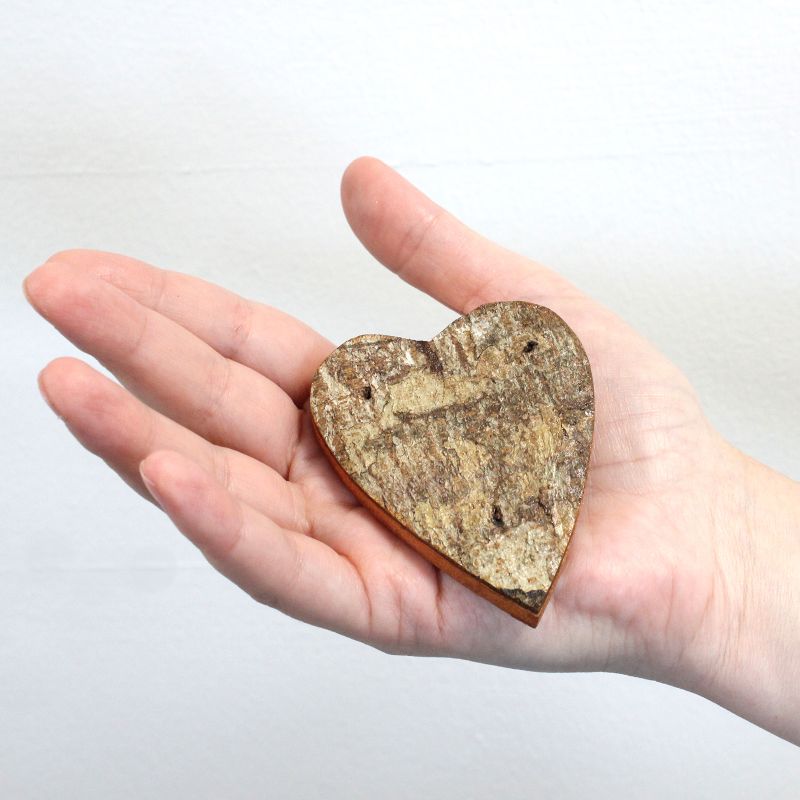 Färgad Rustik Bokstav i Bark - LOVE  (4x3)