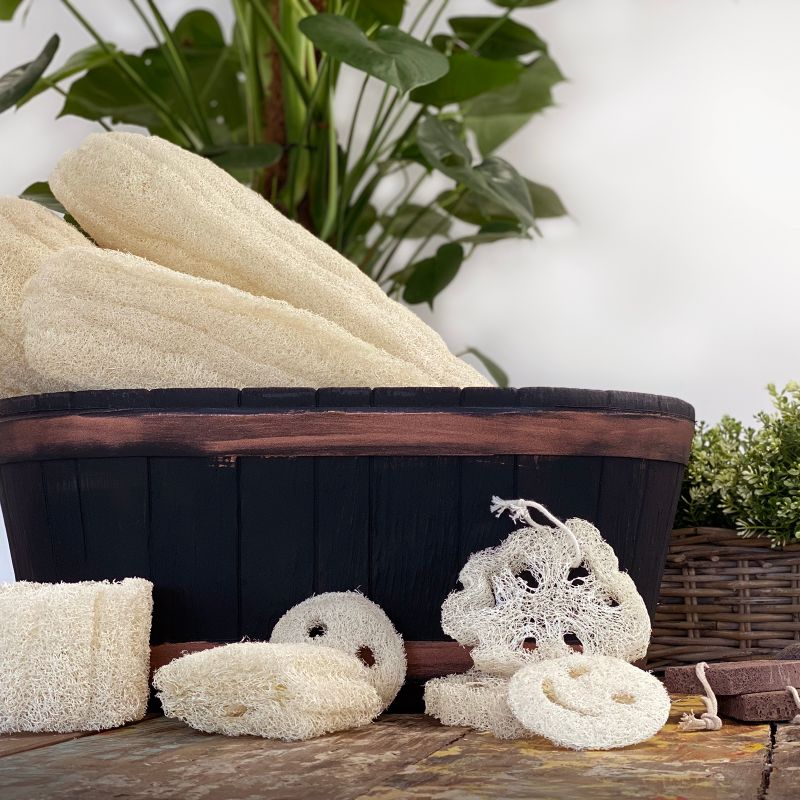 Luffa Glad Gubbe