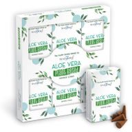 Växtbaserade Rökelsekoner - Aloe Vera