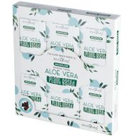 Växtbaserade Tillbakaflöde Rökelsekoner - Aloe Vera