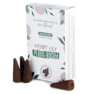 Växtbaserade Tillbakaflöde Rökelsekoner - Viol & Lilja