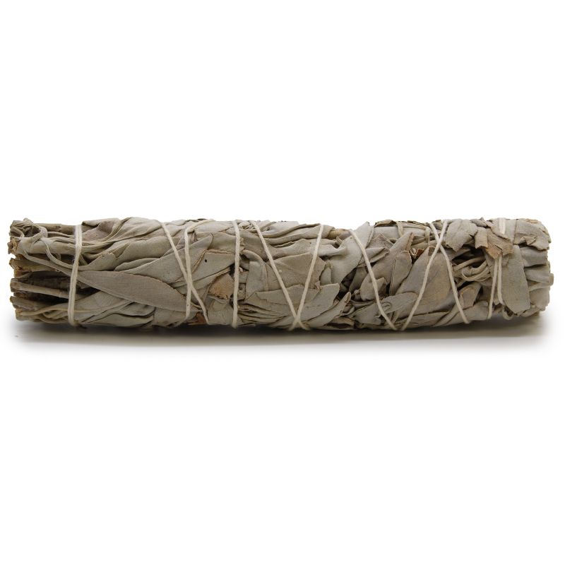 Smudge Stick - Vit Salvia 15cm