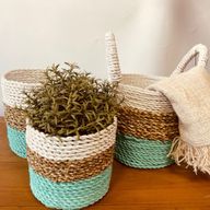 Set med Korgar av Sjögräs - Grön / Naturlig / Vit