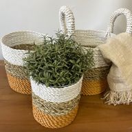 Set med Korgar av Sjögräs - Orange / Naturlig / Vit